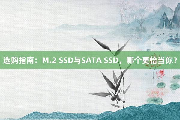 选购指南：M.2 SSD与SATA SSD，哪个更恰当你？