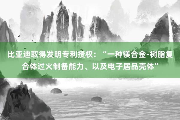 比亚迪取得发明专利授权：“一种镁合金-树脂复合体过火制备能力、以及电子居品壳体”