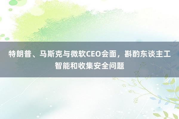 特朗普、马斯克与微软CEO会面，斟酌东谈主工智能和收集安全问题