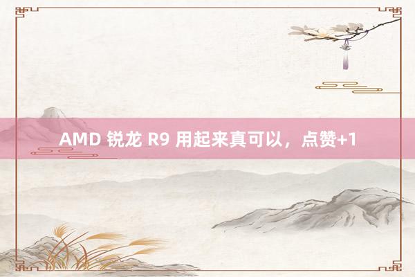 AMD 锐龙 R9 用起来真可以，点赞+1