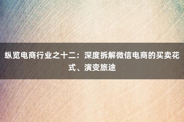 纵览电商行业之十二：深度拆解微信电商的买卖花式、演变旅途