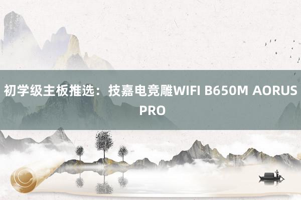 初学级主板推选：技嘉电竞雕WIFI B650M AORUS PRO