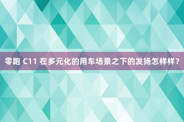 零跑 C11 在多元化的用车场景之下的发扬怎样样？