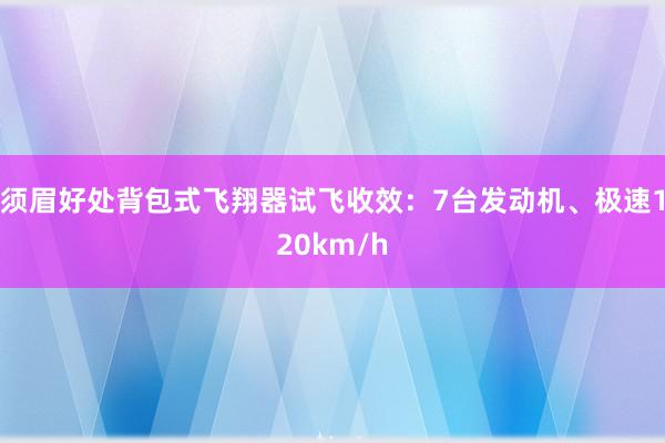 须眉好处背包式飞翔器试飞收效：7台发动机、极速120km/h