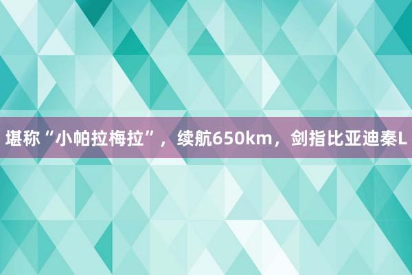 堪称“小帕拉梅拉”，续航650km，剑指比亚迪秦L