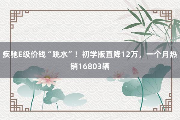 疾驰E级价钱“跳水”！初学版直降12万，一个月热销16803辆