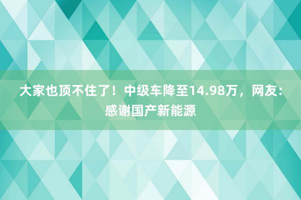 大家也顶不住了！中级车降至14.98万，网友：感谢国产新能源