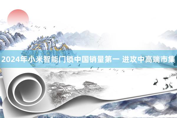 2024年小米智能门锁中国销量第一 进攻中高端市集