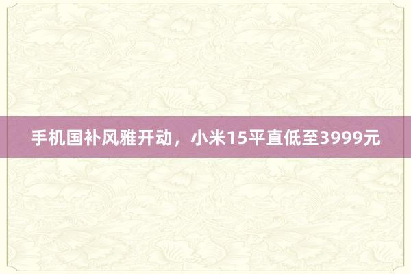 手机国补风雅开动，小米15平直低至3999元