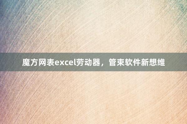 魔方网表excel劳动器，管束软件新想维