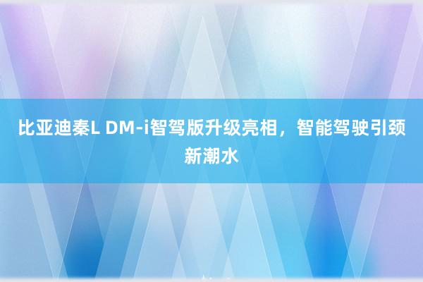 比亚迪秦L DM-i智驾版升级亮相，智能驾驶引颈新潮水