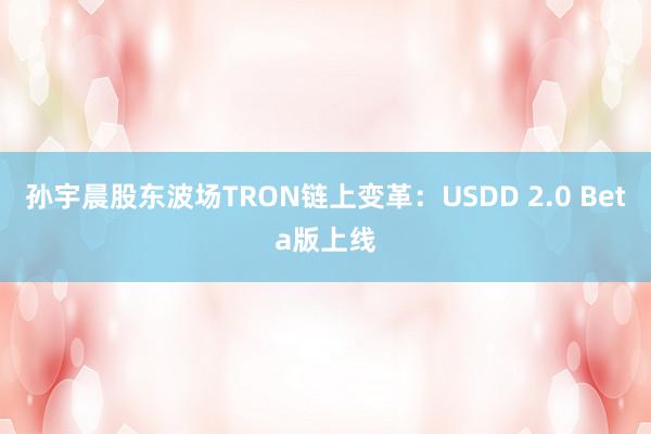 孙宇晨股东波场TRON链上变革：USDD 2.0 Beta版上线