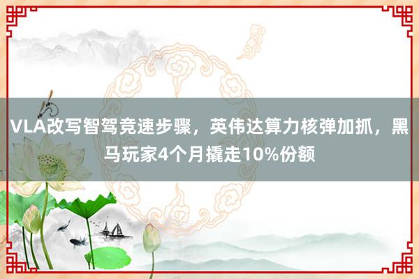 VLA改写智驾竞速步骤，英伟达算力核弹加抓，黑马玩家4个月撬走10%份额