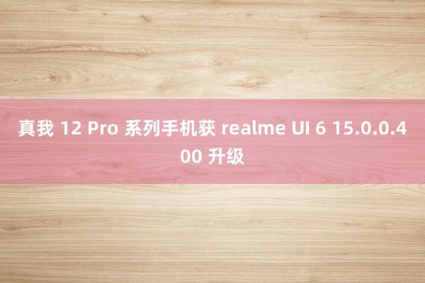 真我 12 Pro 系列手机获 realme UI 6 15.0.0.400 升级