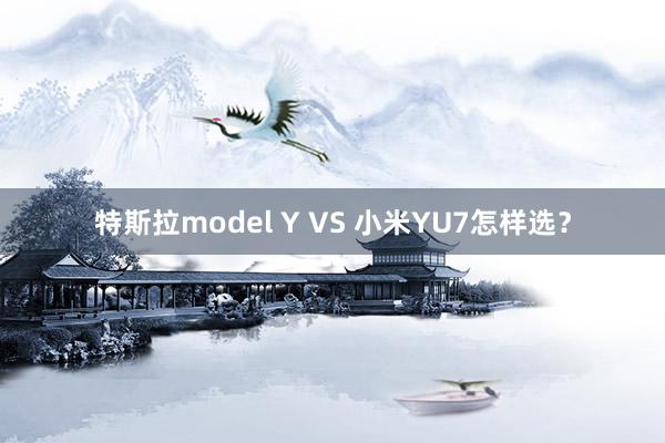 特斯拉model Y VS 小米YU7怎样选？