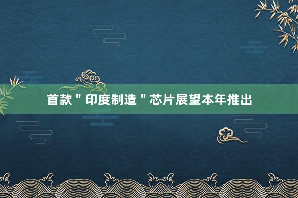 首款＂印度制造＂芯片展望本年推出