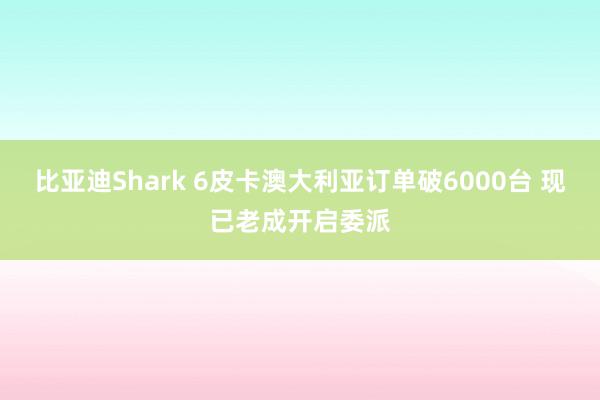 比亚迪Shark 6皮卡澳大利亚订单破6000台 现已老成开启委派