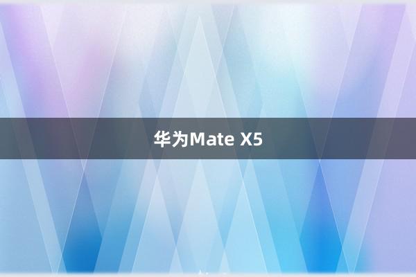 华为Mate X5