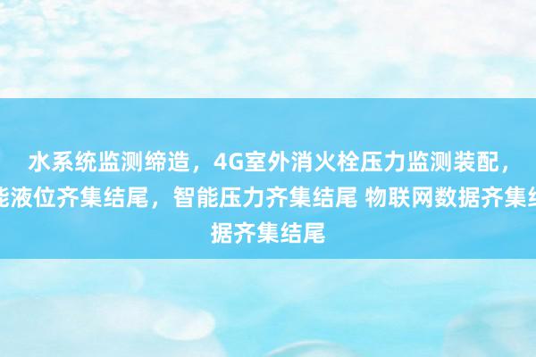 水系统监测缔造，4G室外消火栓压力监测装配，智能液位齐集结尾，智能压力齐集结尾 物联网数据齐集结尾