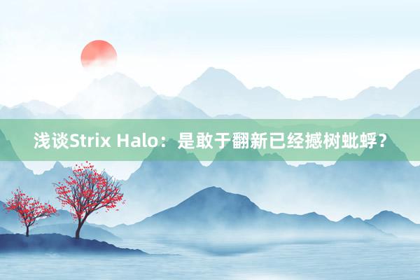 浅谈Strix Halo：是敢于翻新已经撼树蚍蜉？