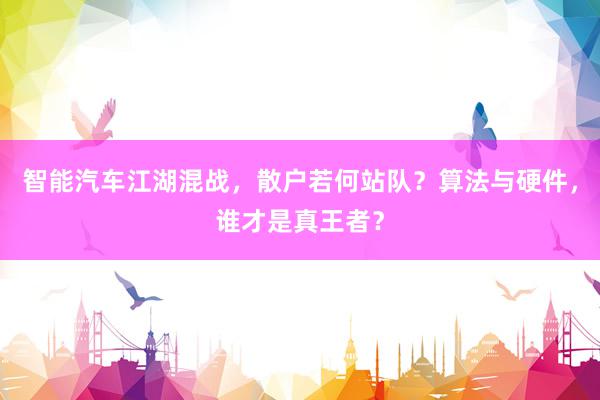 智能汽车江湖混战，散户若何站队？算法与硬件，谁才是真王者？