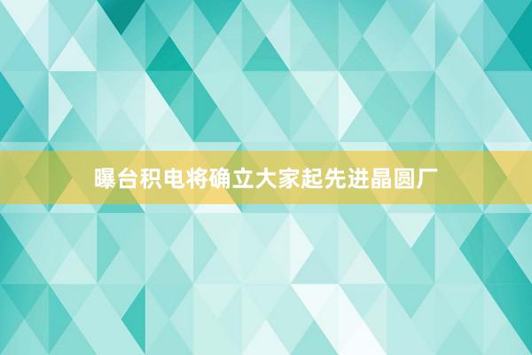 曝台积电将确立大家起先进晶圆厂