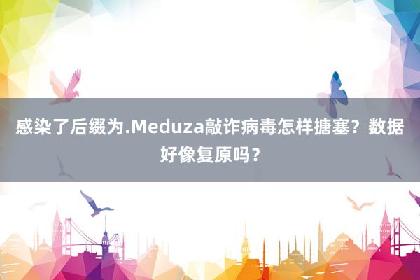 感染了后缀为.Meduza敲诈病毒怎样搪塞？数据好像复原吗？